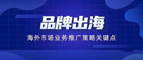 选择全球搜服务商，如何避免文化偏见与信息不全的风险？